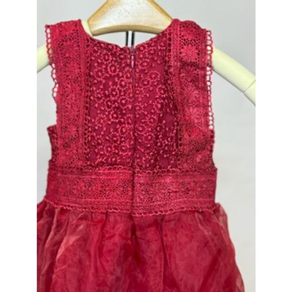 Trish Scully Girls Lace Dress - Size 6M-12M - Picture 5 of 9